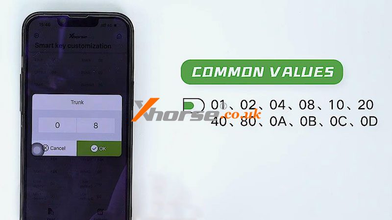 5 Quick Tips To Use Xhorse Vvdi Remote Keys (10)